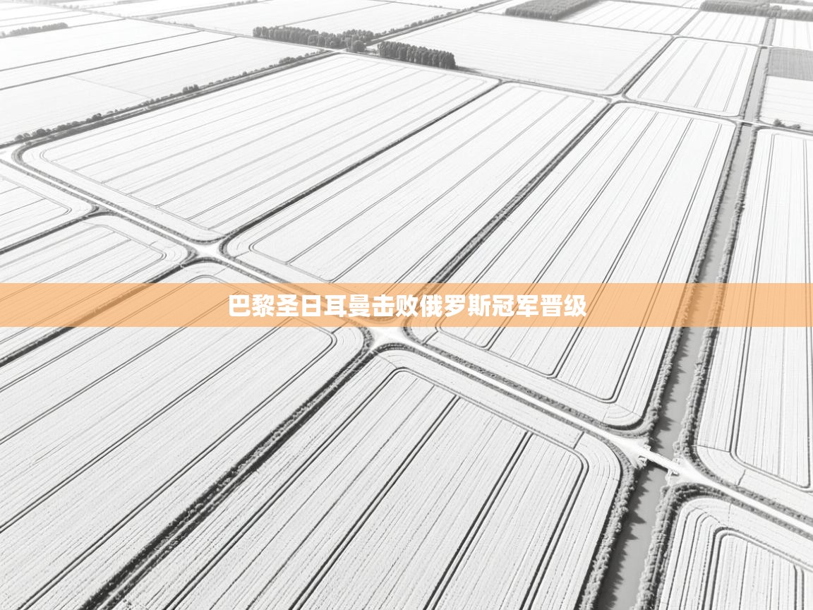 巴黎圣日耳曼击败俄罗斯冠军晋级  第2张