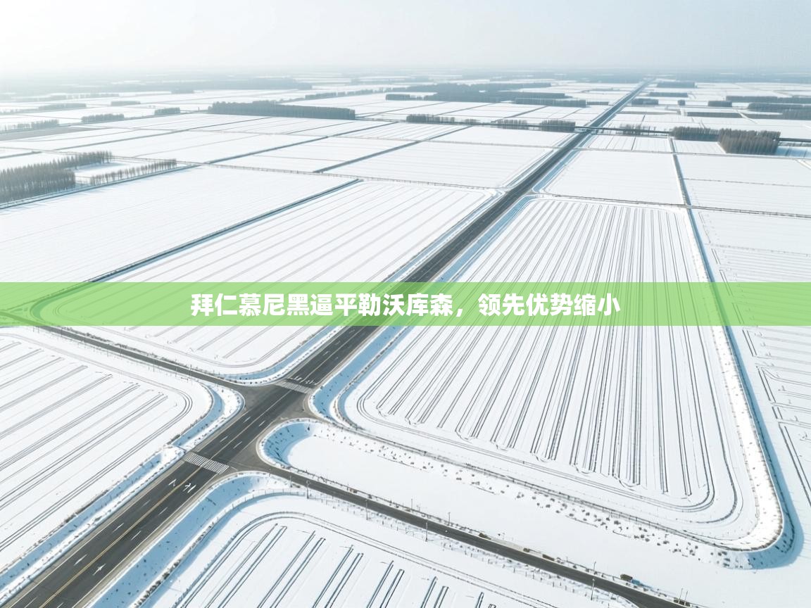 拜仁慕尼黑逼平勒沃库森,领先优势缩小 第2张