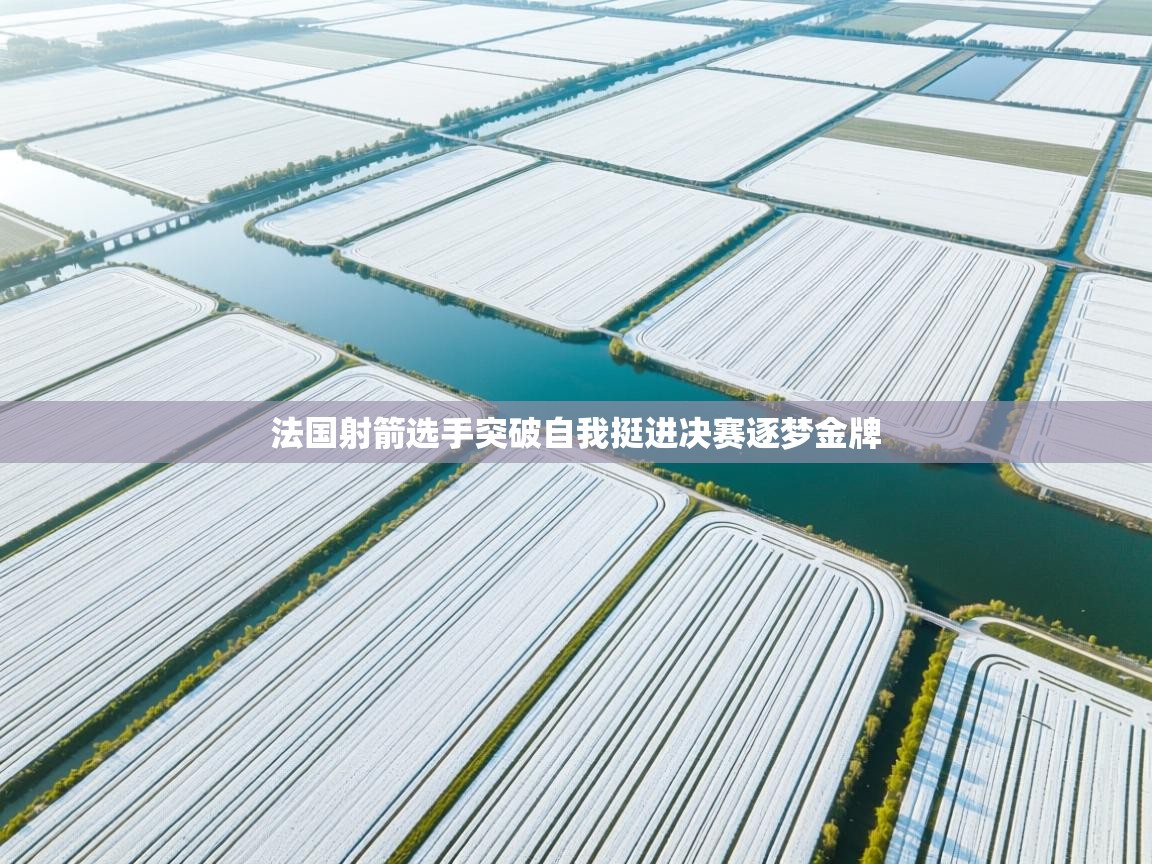 法国射箭选手突破自我挺进决赛逐梦金牌  第2张